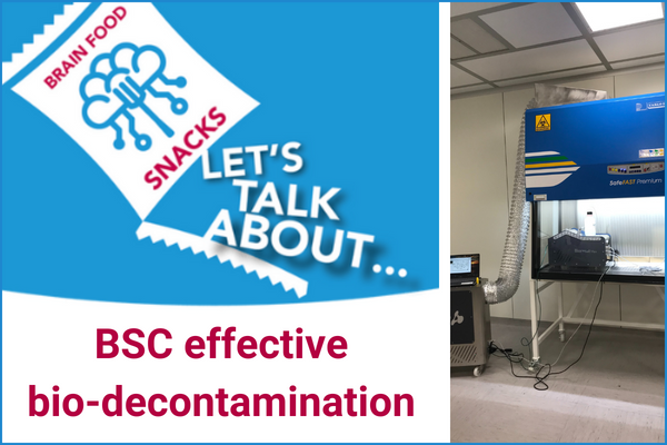 Amira solutions for effective BSC bio-decontamination with V-PHP technology